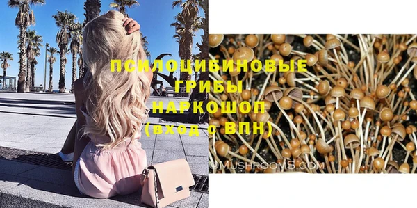 каннабис Белокуриха