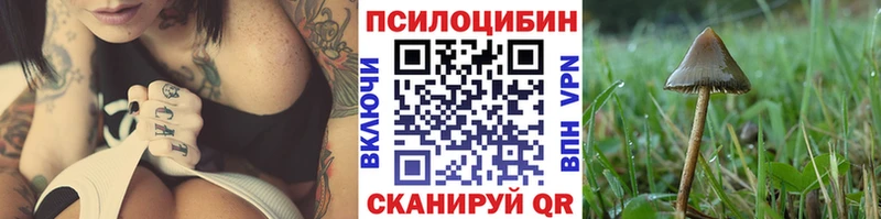 как найти наркотики Кодинск Псилоцибиновые грибы Magic Shrooms